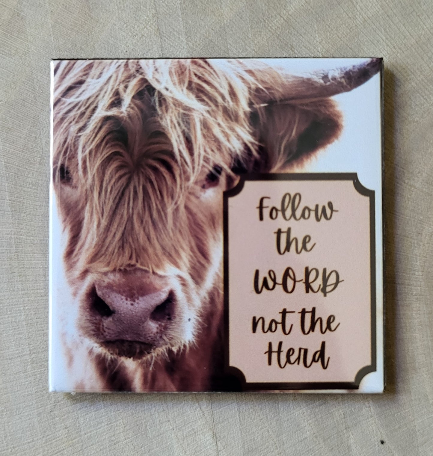 Decorative Fridge Magnets