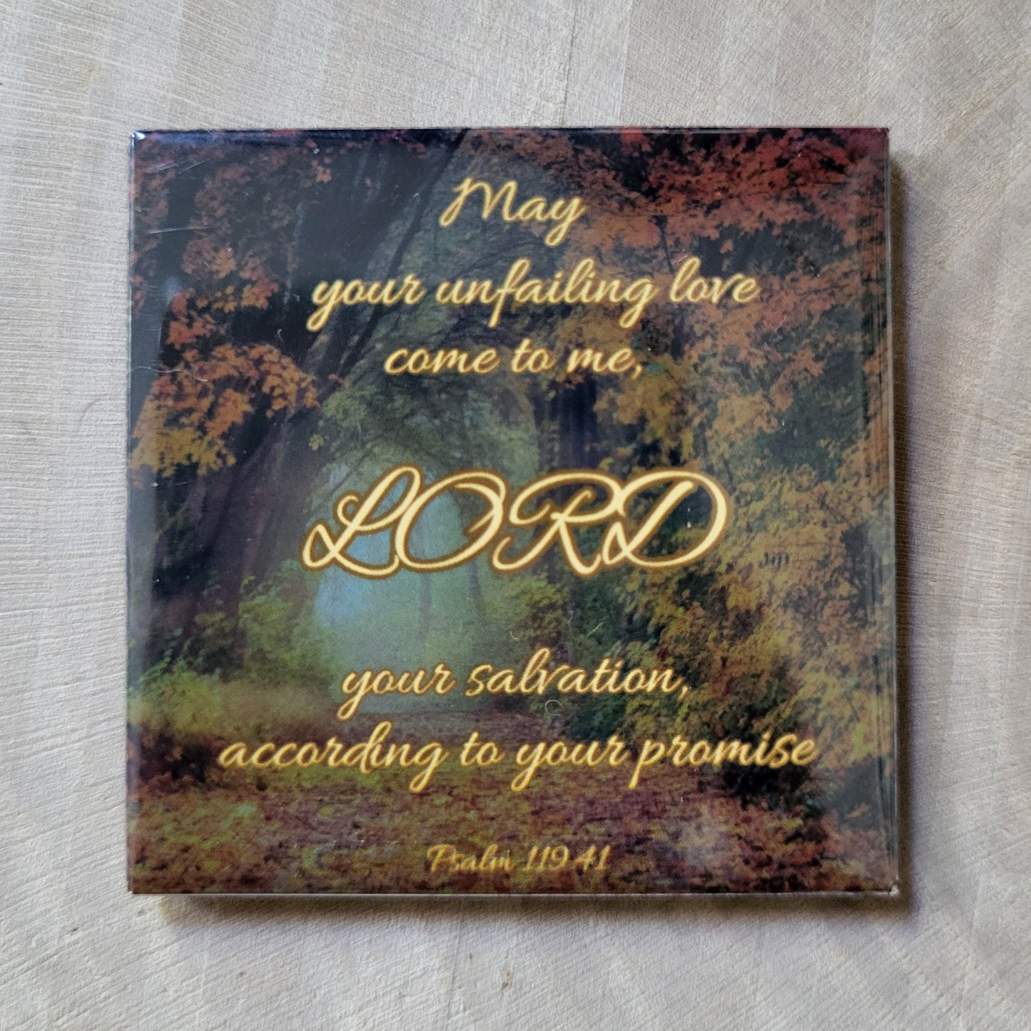 Decorative Fridge Magnets