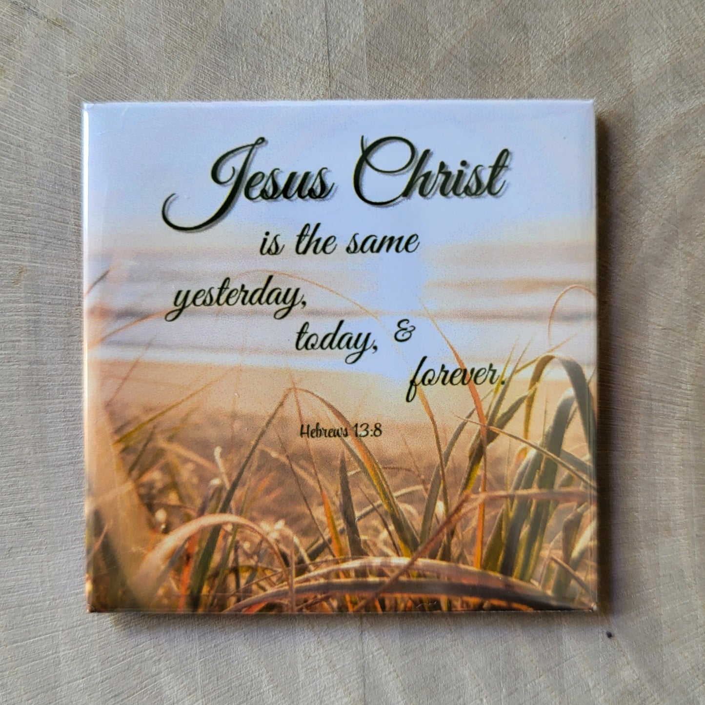 Decorative Fridge Magnets