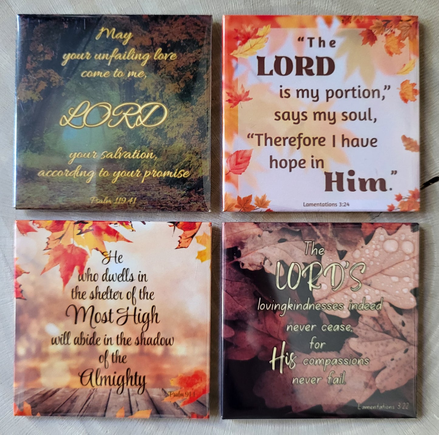 Decorative Fridge Magnets