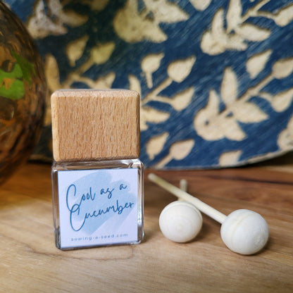 Cool as a Cucumber Car Reed Diffuser