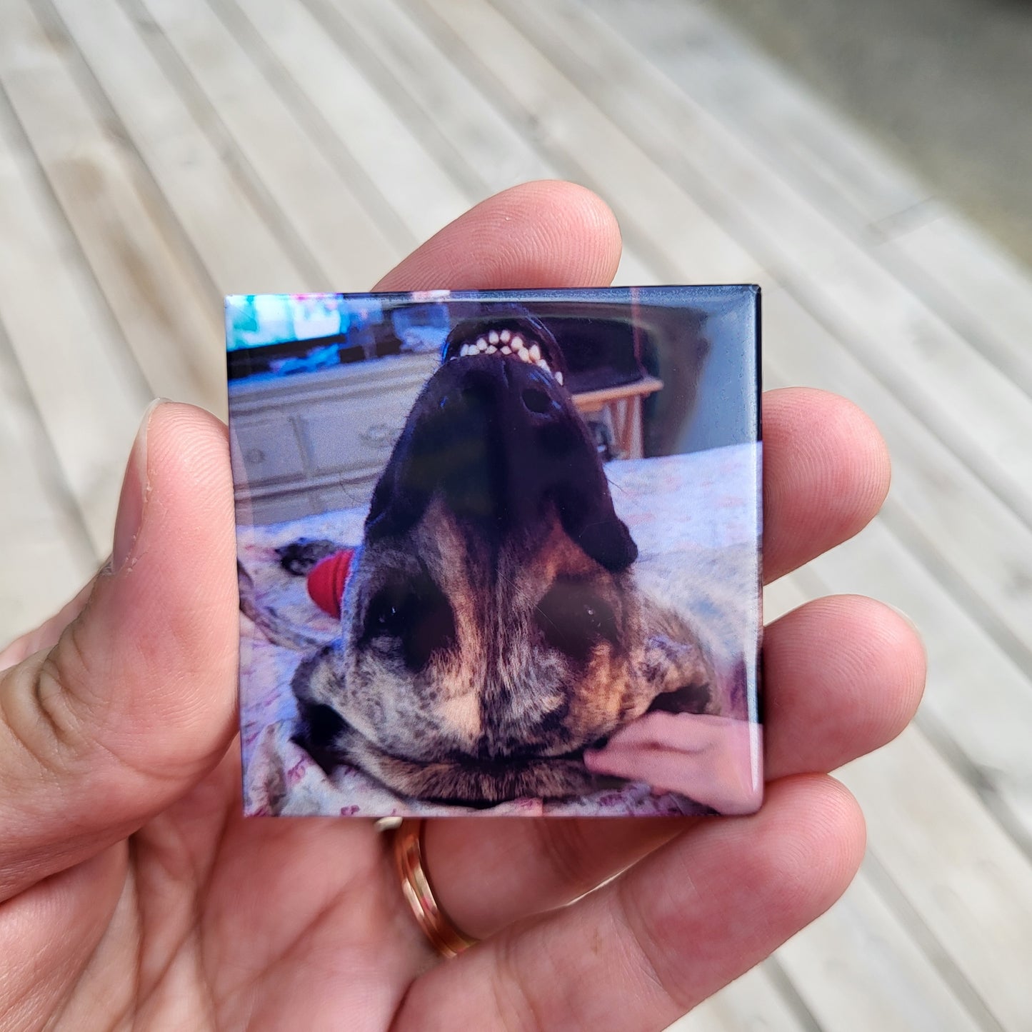 Imanes con fotos personalizados