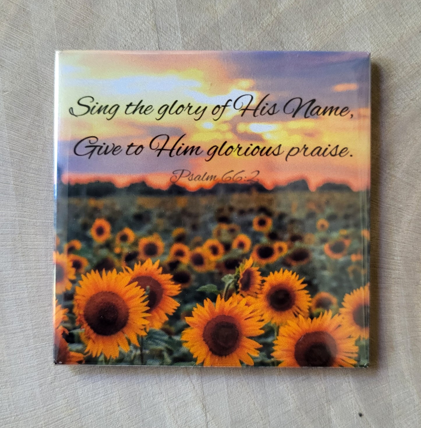 Decorative Fridge Magnets